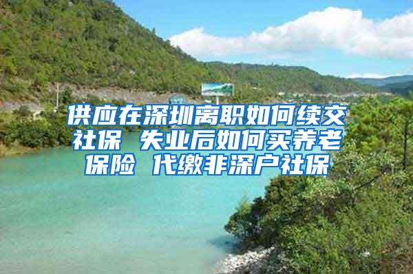 供应在深圳离职如何续交社保 失业后如何买养老保险 代缴非深户社保