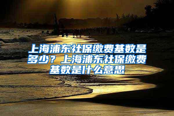 上海浦东社保缴费基数是多少？上海浦东社保缴费基数是什么意思