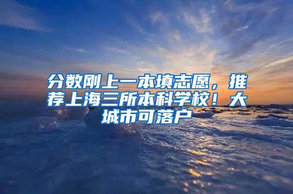 分数刚上一本填志愿，推荐上海三所本科学校！大城市可落户