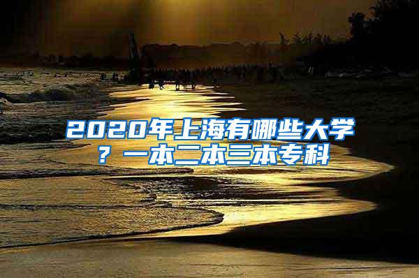 2020年上海有哪些大学？一本二本三本专科