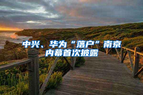 中兴、华为“落户”南京内幕首次披露