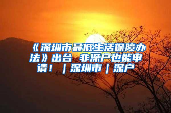 《深圳市最低生活保障办法》出台 非深户也能申请！｜深圳市｜深户