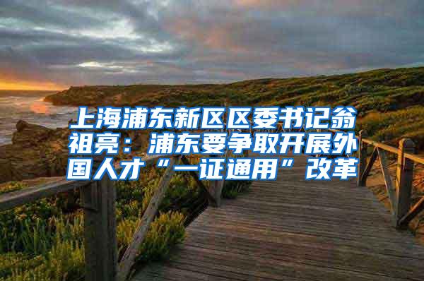 上海浦东新区区委书记翁祖亮：浦东要争取开展外国人才“一证通用”改革