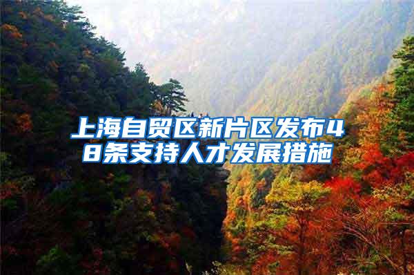 上海自贸区新片区发布48条支持人才发展措施