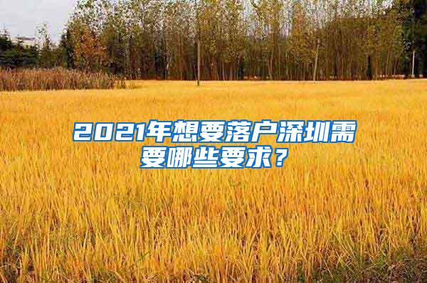 2021年想要落户深圳需要哪些要求？