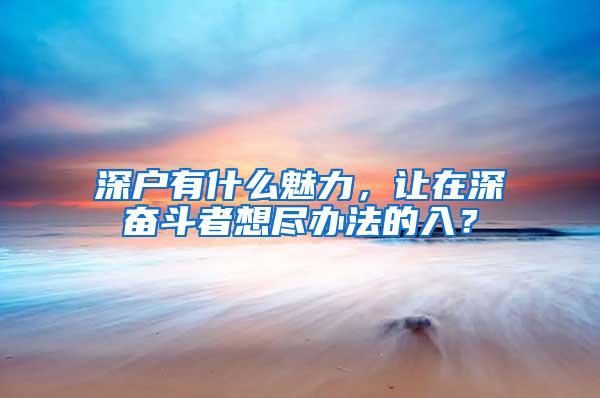 深户有什么魅力，让在深奋斗者想尽办法的入？