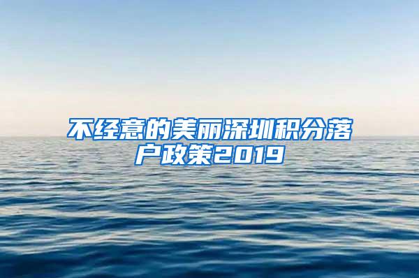 不经意的美丽深圳积分落户政策2019