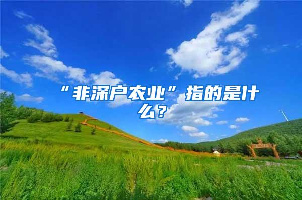“非深户农业”指的是什么？