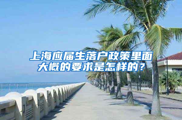 上海应届生落户政策里面大概的要求是怎样的？