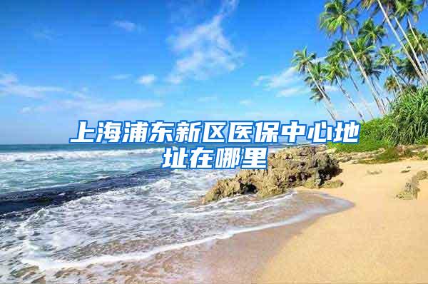 上海浦东新区医保中心地址在哪里