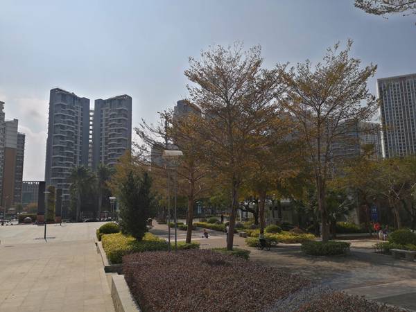 深圳积分入户具体怎么算