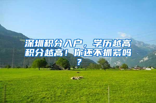 深圳积分入户，学历越高积分越高！你还不抓紧吗？