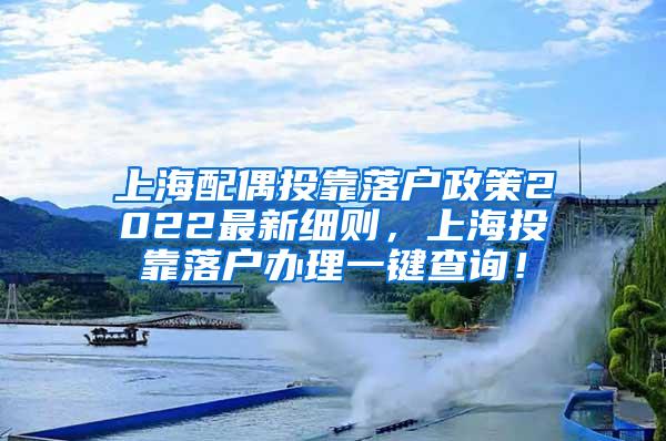 上海配偶投靠落户政策2022最新细则，上海投靠落户办理一键查询！