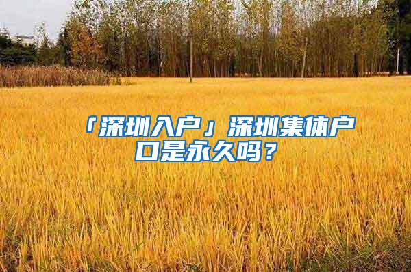 「深圳入户」深圳集体户口是永久吗？