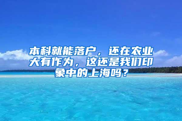 本科就能落户，还在农业大有作为，这还是我们印象中的上海吗？