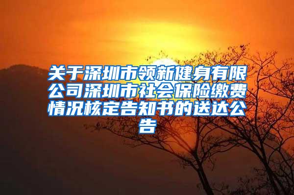 关于深圳市领新健身有限公司深圳市社会保险缴费情况核定告知书的送达公告