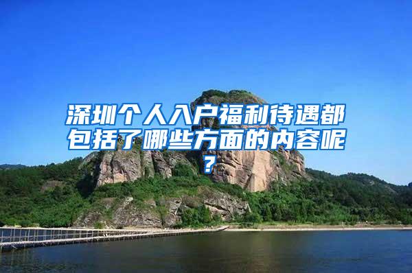 深圳个人入户福利待遇都包括了哪些方面的内容呢？