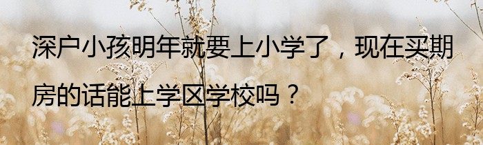 深户小孩明年就要上小学了，现在买期房的话能上学区学校吗？