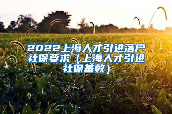 2022上海人才引进落户社保要求（上海人才引进社保基数）