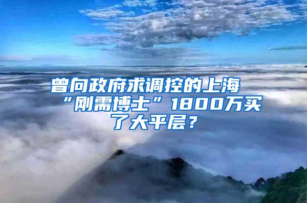 曾向政府求调控的上海“刚需博士”1800万买了大平层？