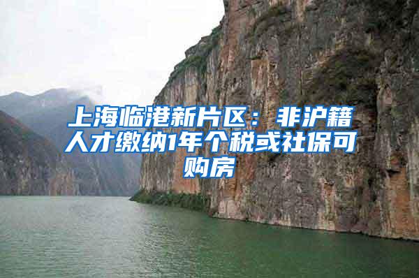 上海临港新片区：非沪籍人才缴纳1年个税或社保可购房