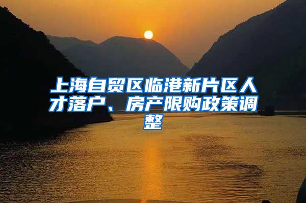 上海自贸区临港新片区人才落户、房产限购政策调整