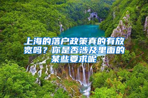 上海的落户政策真的有放宽吗？你是否涉及里面的某些要求呢