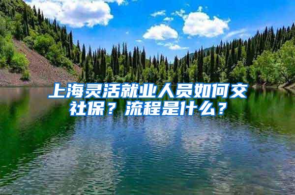 上海灵活就业人员如何交社保？流程是什么？