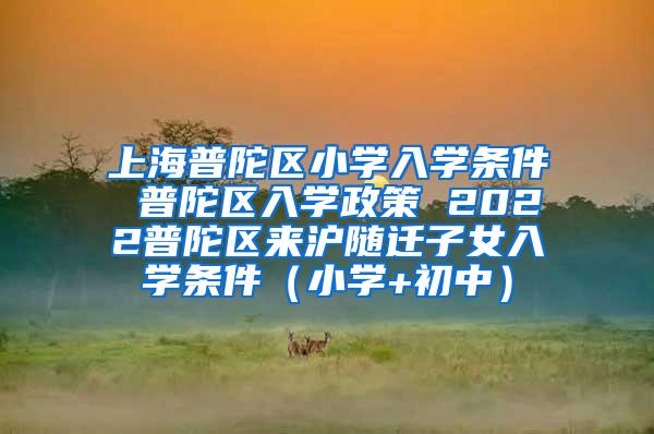 上海普陀区小学入学条件 普陀区入学政策 2022普陀区来沪随迁子女入学条件（小学+初中）