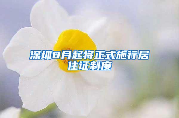 深圳8月起将正式施行居住证制度