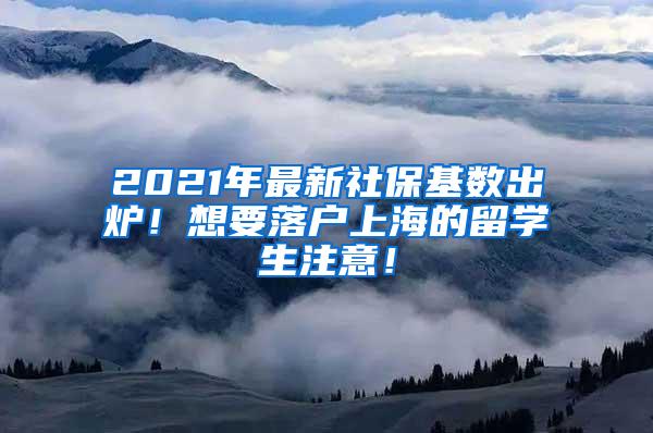 2021年最新社保基数出炉！想要落户上海的留学生注意！