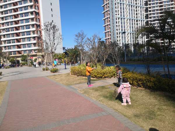 深圳公租房申请户口在哪个区就申请哪个区