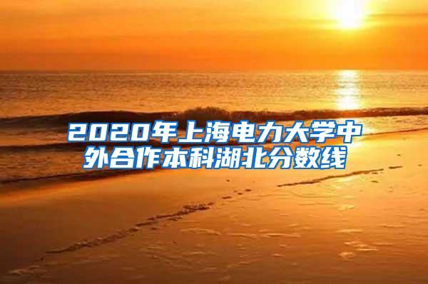 2020年上海电力大学中外合作本科湖北分数线