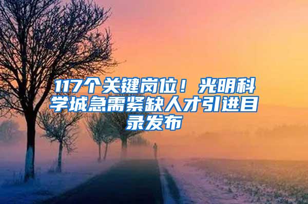 117个关键岗位！光明科学城急需紧缺人才引进目录发布