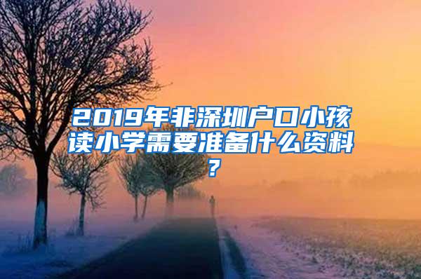2019年非深圳户口小孩读小学需要准备什么资料？