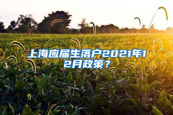 上海应届生落户2021年12月政策？