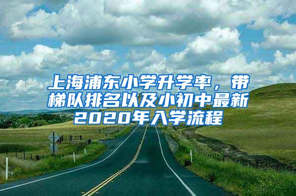 上海浦东小学升学率，带梯队排名以及小初中最新2020年入学流程