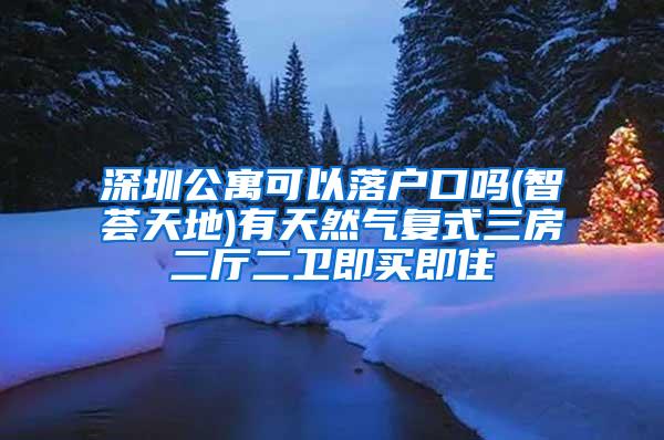 深圳公寓可以落户口吗(智荟天地)有天然气复式三房二厅二卫即买即住