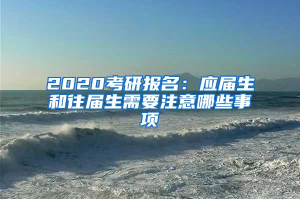 2020考研报名：应届生和往届生需要注意哪些事项