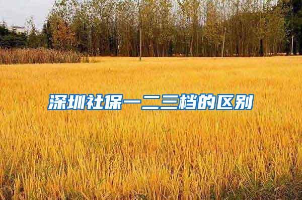 深圳社保一二三档的区别