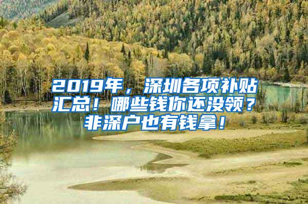 2019年，深圳各项补贴汇总！哪些钱你还没领？非深户也有钱拿！