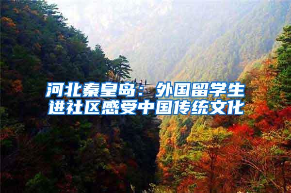 河北秦皇岛：外国留学生进社区感受中国传统文化