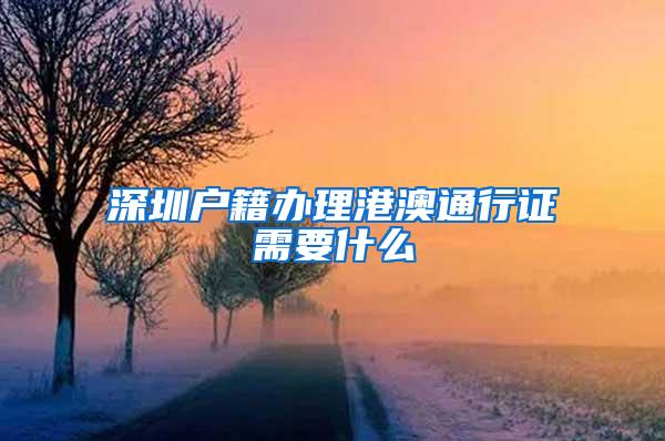 深圳户籍办理港澳通行证需要什么