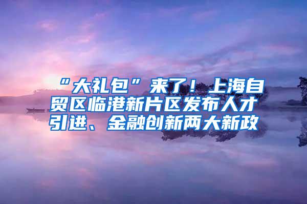 “大礼包”来了！上海自贸区临港新片区发布人才引进、金融创新两大新政