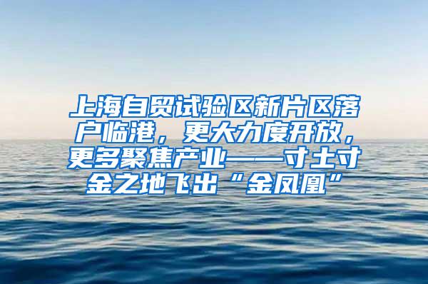 上海自贸试验区新片区落户临港，更大力度开放，更多聚焦产业——寸土寸金之地飞出“金凤凰”