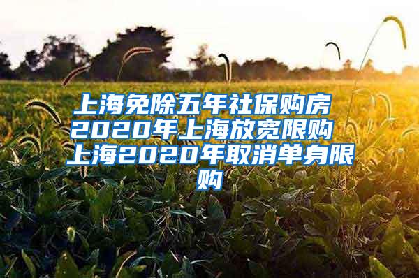上海免除五年社保购房 2020年上海放宽限购 上海2020年取消单身限购