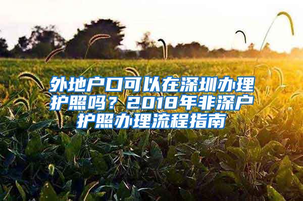 外地户口可以在深圳办理护照吗？2018年非深户护照办理流程指南