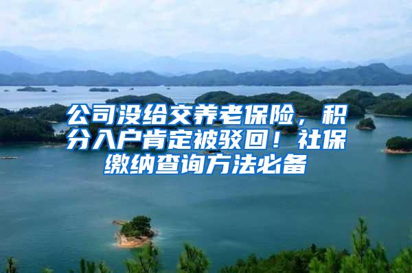 公司没给交养老保险，积分入户肯定被驳回！社保缴纳查询方法必备