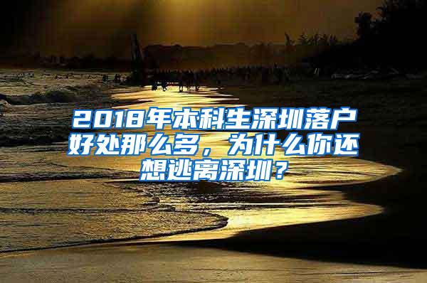 2018年本科生深圳落户好处那么多，为什么你还想逃离深圳？