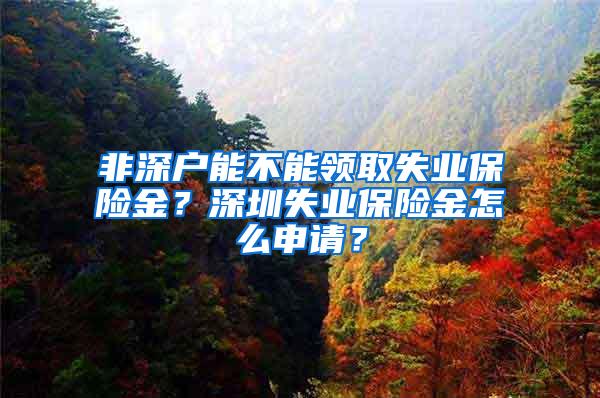 非深户能不能领取失业保险金？深圳失业保险金怎么申请？